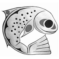 Westcoast Flyfishers Association